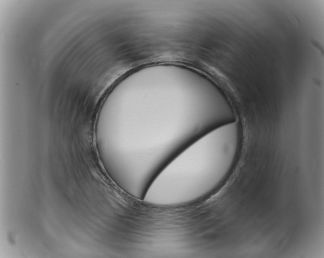 X0000099541170200805160741