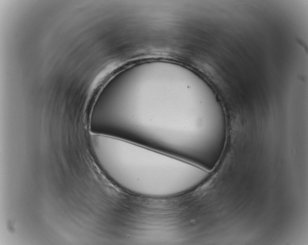 X0000099541172200805160741