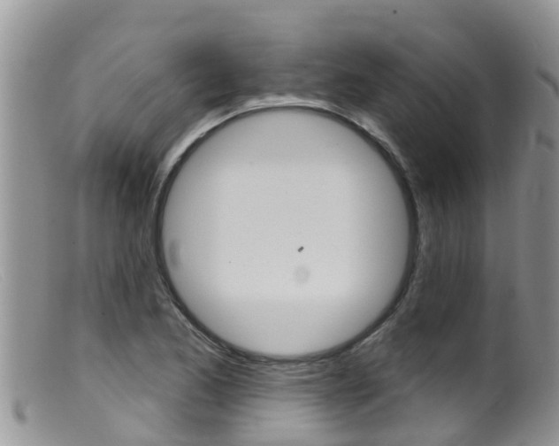 X0000099541173200805160741