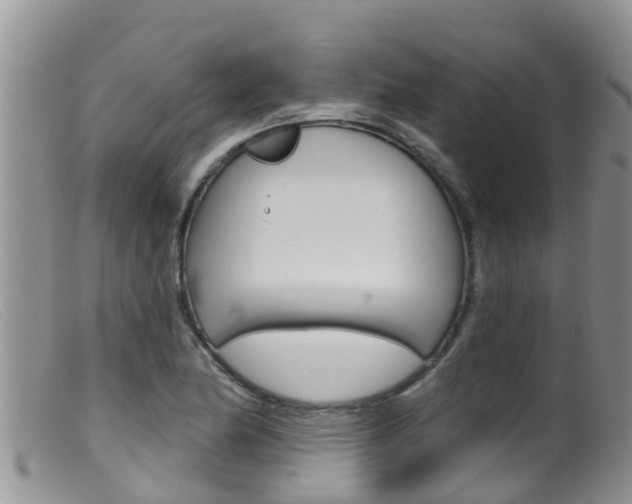 X0000099541174200805160741