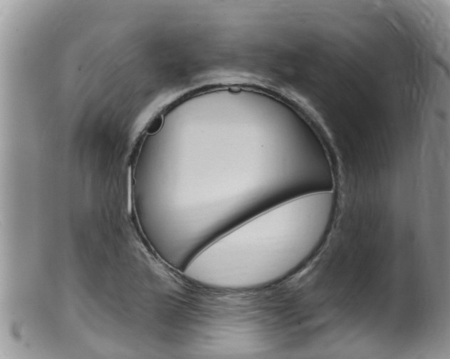 X0000099541175200805160741