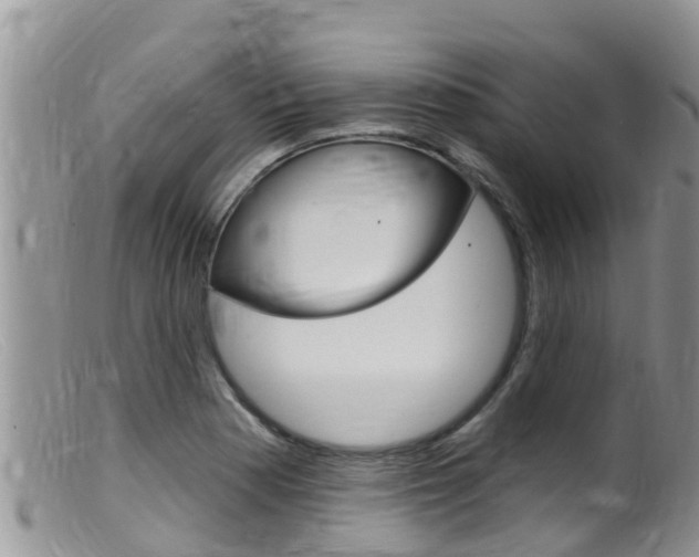 X0000099541177200805160741