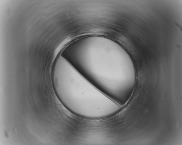 X0000099541180200805160741