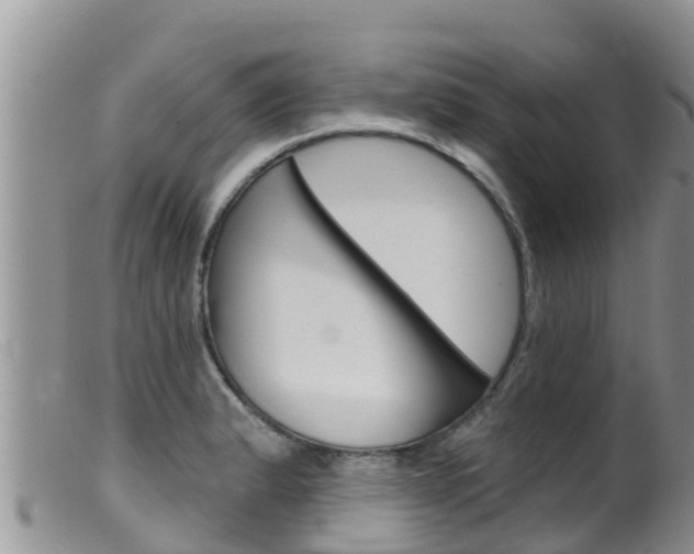 X0000099541183200805160741
