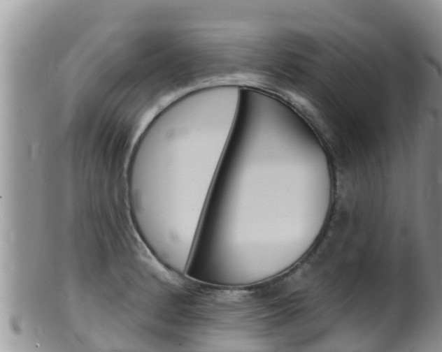 X0000099541184200805160741