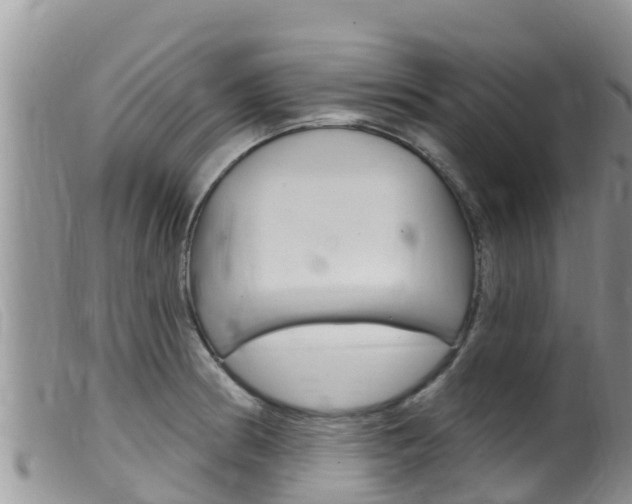 X0000099541186200805160741