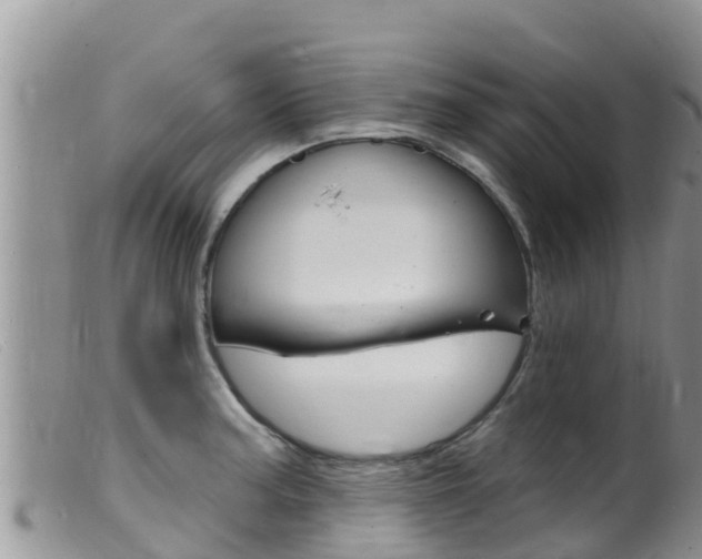 X0000099541187200805160741