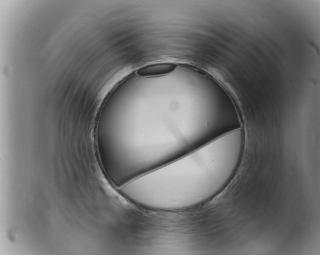 X0000099541189200805160741
