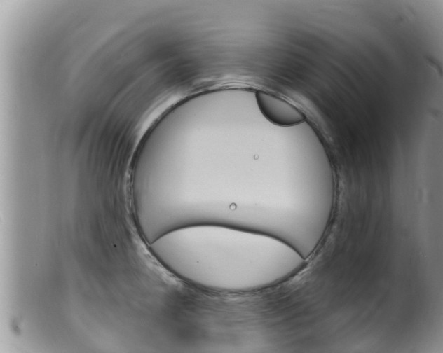 X0000099541190200805160741