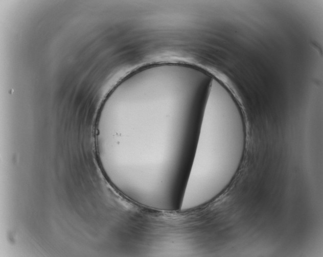 X0000099541191200805160741