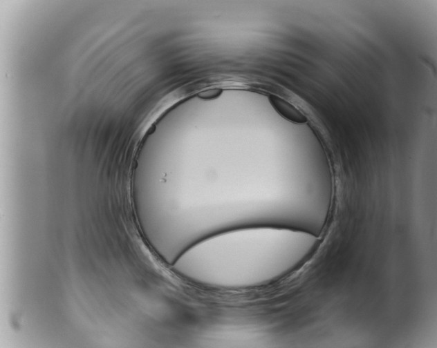 X0000099541194200805160741