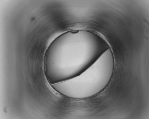 X0000099541195200805160741