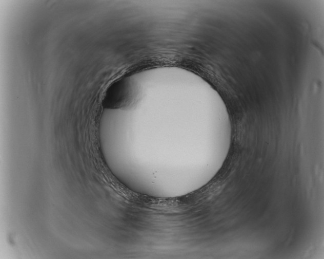 X0000099541201200805160740
