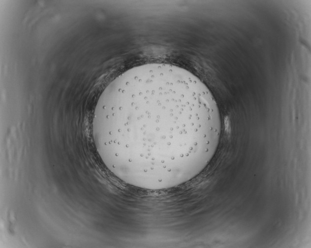 X0000099541203200805160740