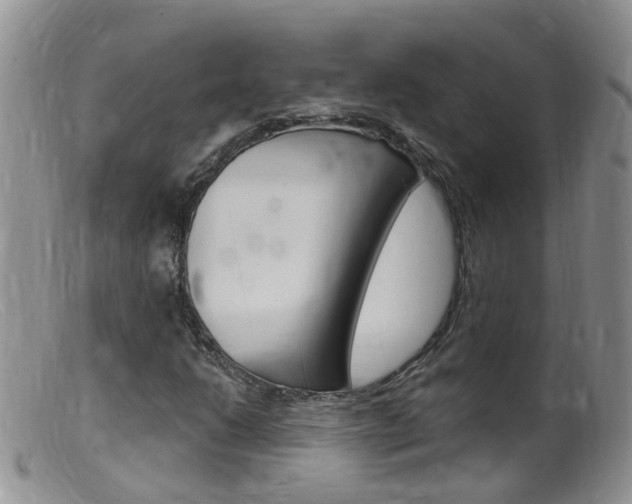 X0000099541206200805160740