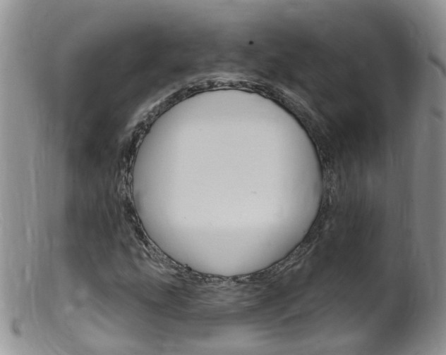 X0000099541207200805160740