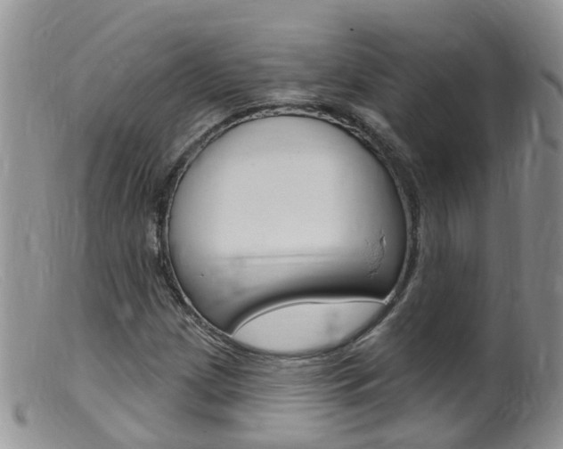 X0000099541209200805160740
