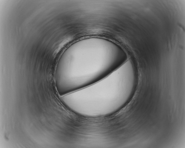 X0000099541210200805160740