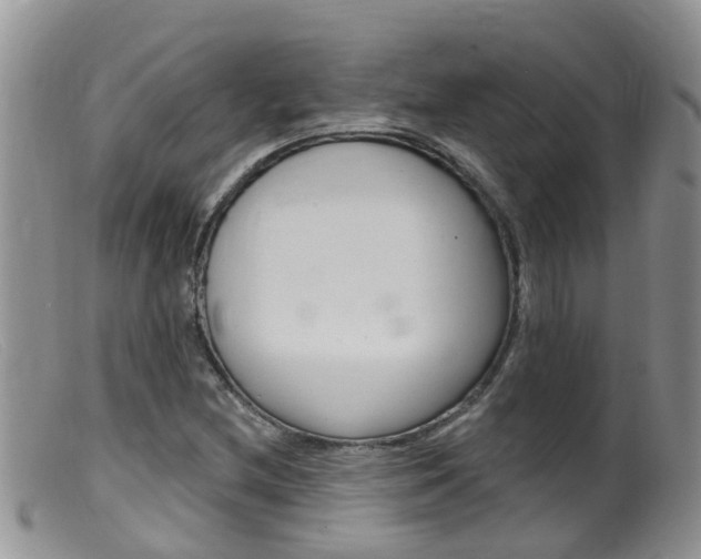 X0000099541212200805160740
