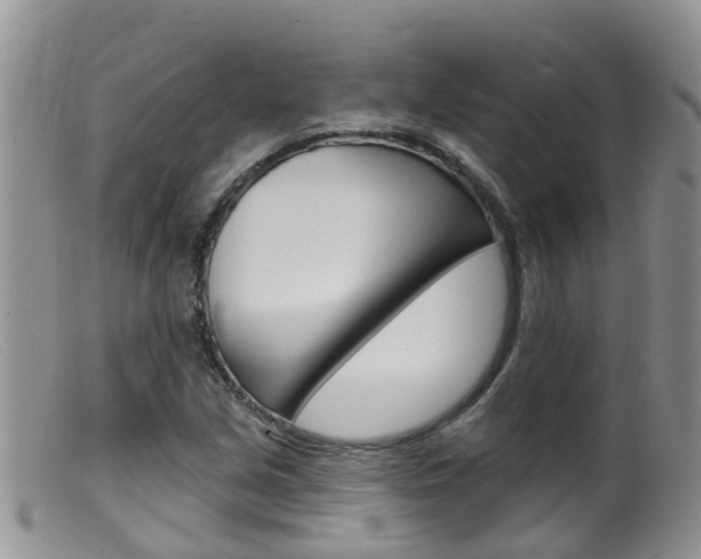X0000099541213200805160740