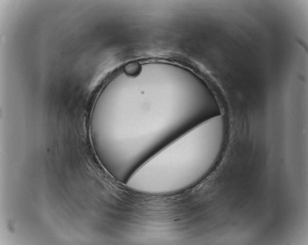 X0000099541214200805160740