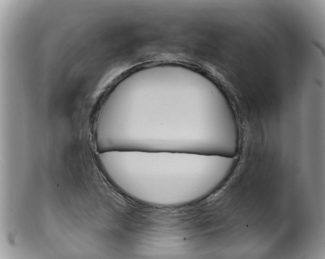 X0000099541215200805160740