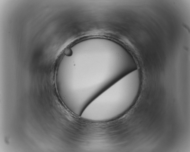 X0000099541216200805160740