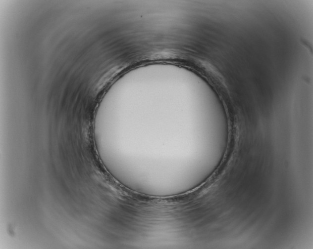X0000099541217200805160740
