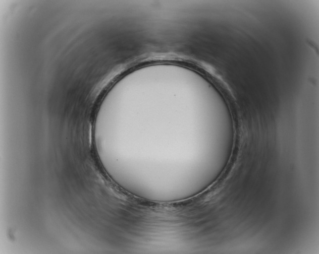 X0000099541221200805160741
