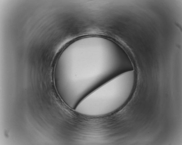 X0000099541222200805160741