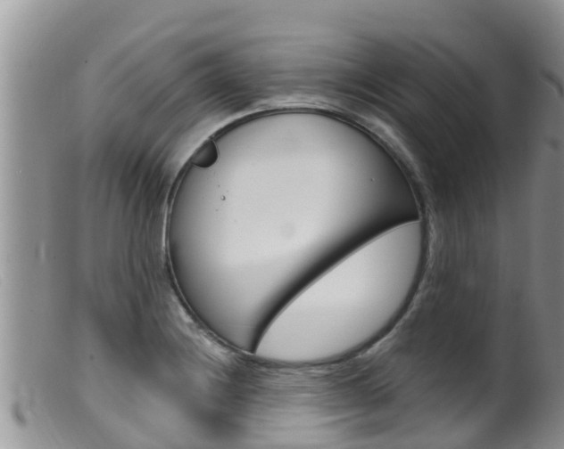 X0000099541228200805160741