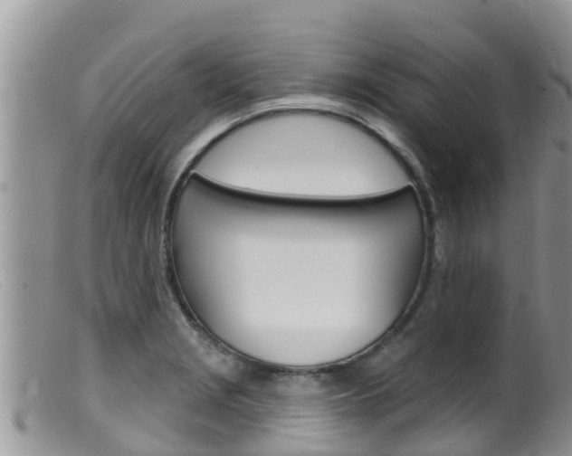 X0000099541229200805160741