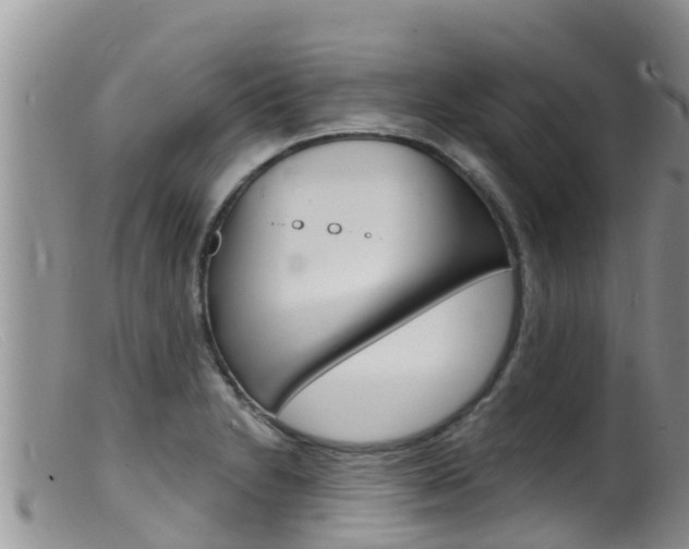 X0000099541230200805160741