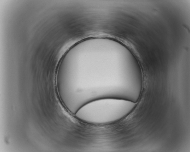 X0000099541231200805160741