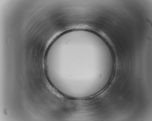 X0000099541232200805160741