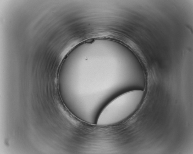 X0000099541234200805160741