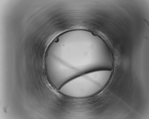 X0000099541236200805160741