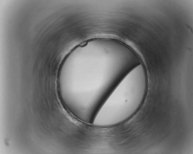 X0000099541237200805160741