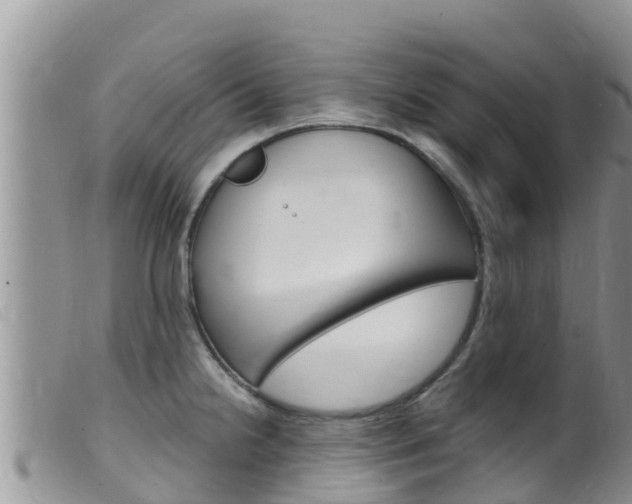 X0000099541238200805160741