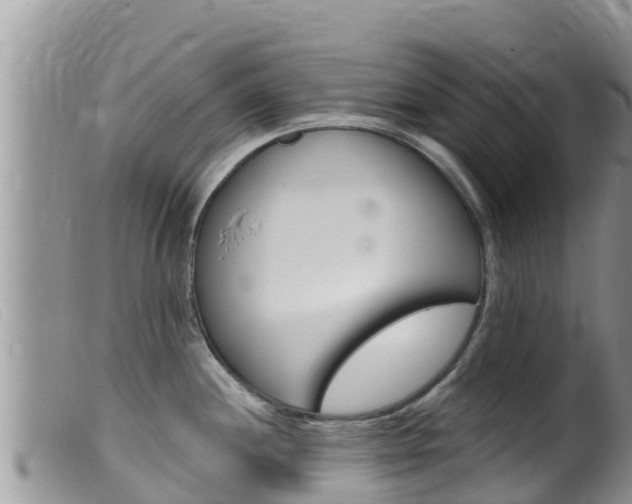 X0000099541244200805160741