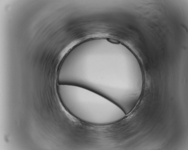 X0000099541245200805160741