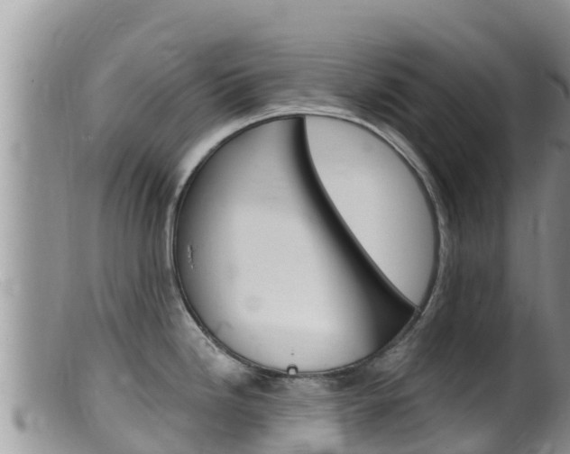 X0000099541246200805160741