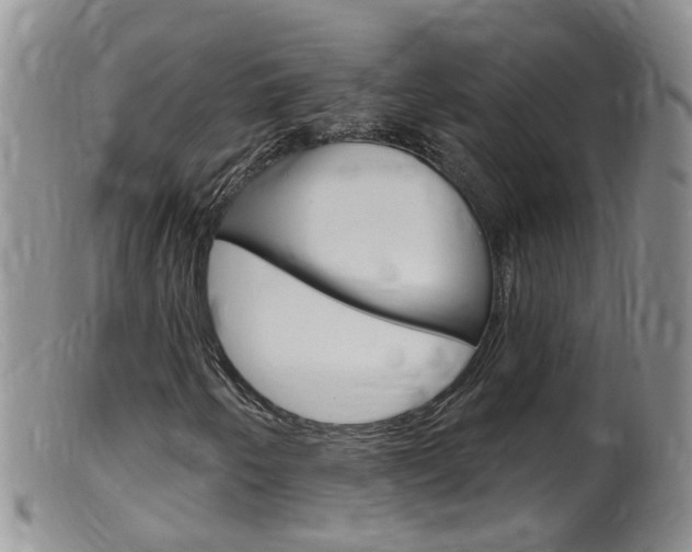X0000099541250200805160740