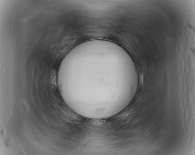 X0000099541251200805160740
