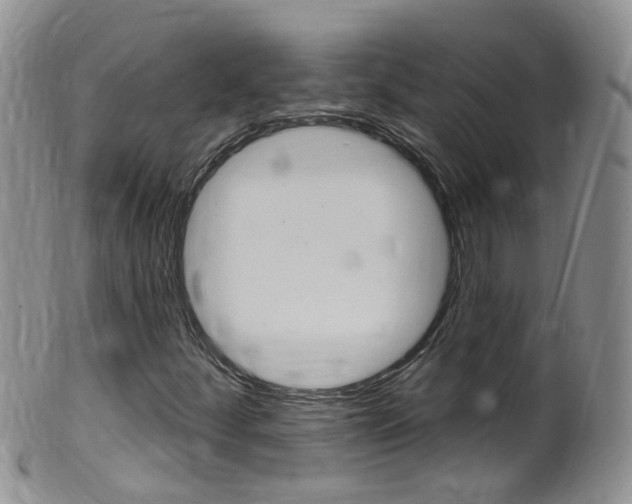 X0000099541252200805160740