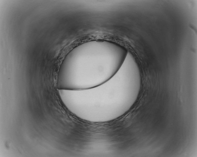 X0000099541253200805160740