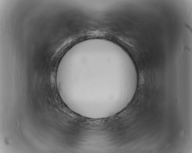 X0000099541254200805160740