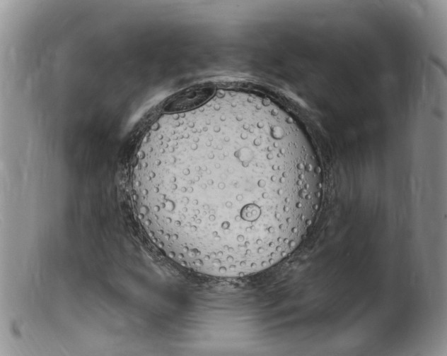 X0000099541255200805160740
