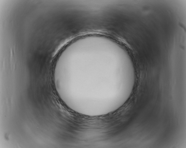 X0000099541256200805160740