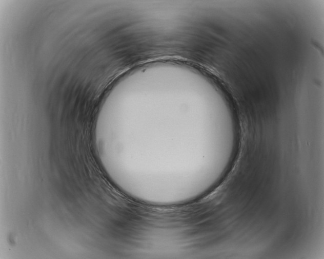 X0000099541257200805160740